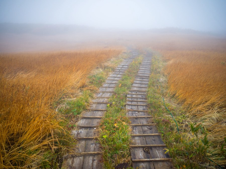 Yamagata, Autumn 2020, Japan. Photograph by Jordy Meow, 9/13