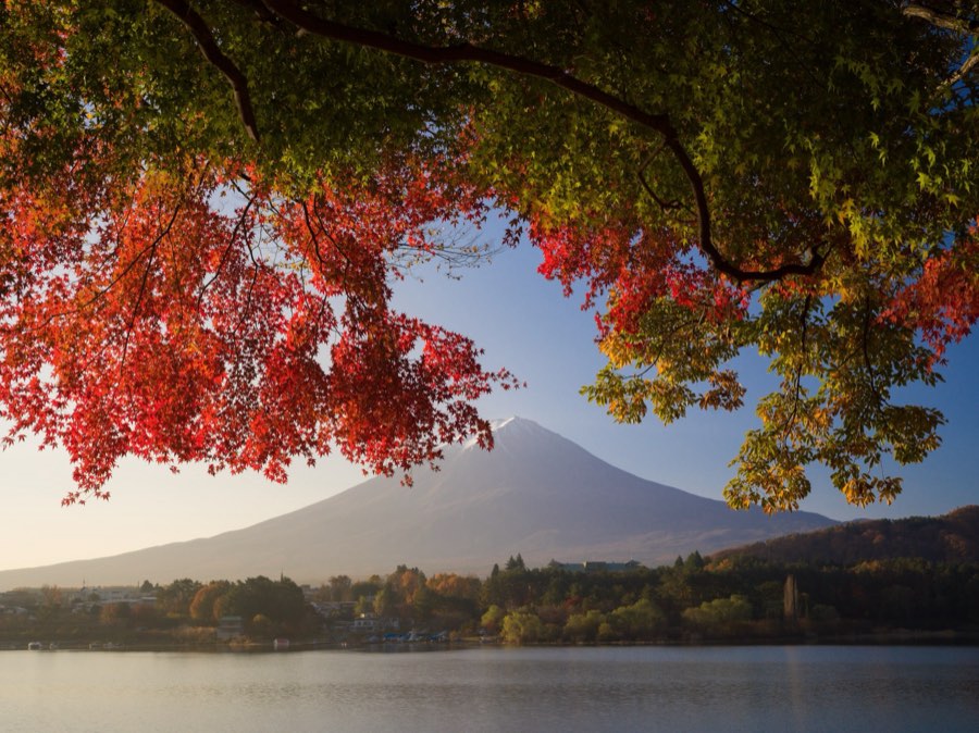 Yamanashi, Autumn 2020, Japan. Photograph by Jordy Meow, 2/25