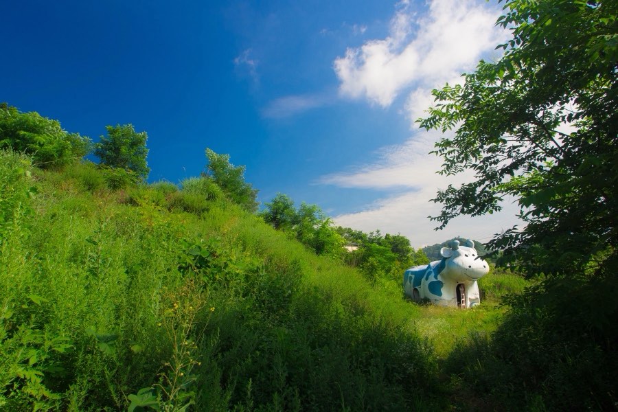 Yamanashi, Summer 2013, Japan. Photograph by Jordy Meow, 14/25