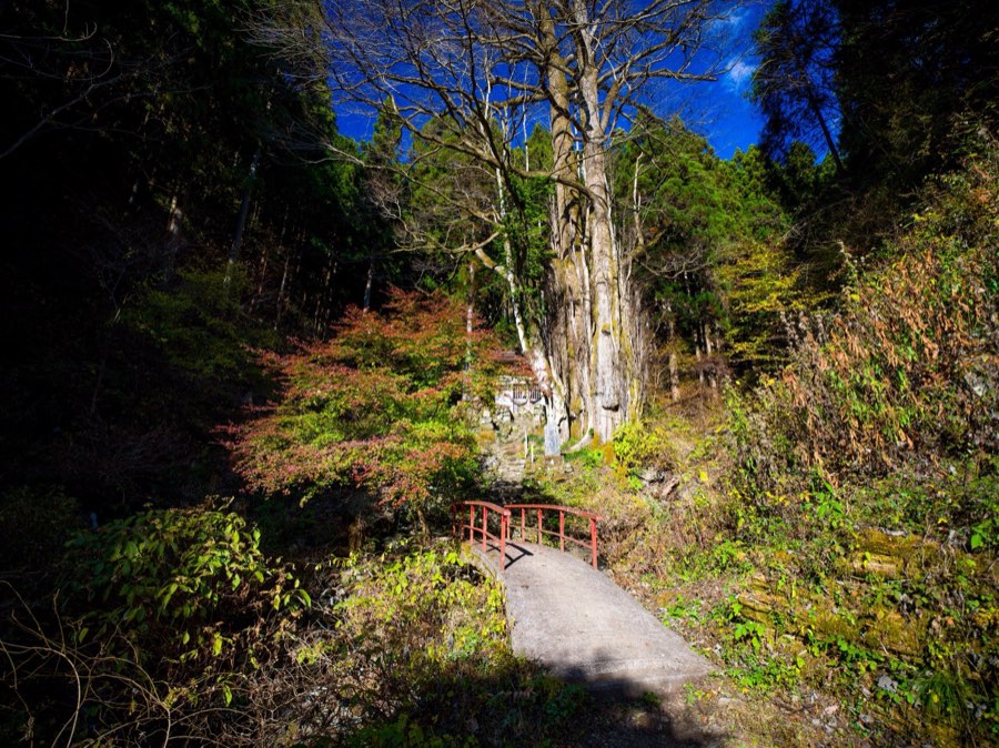 Yamanashi, Autumn 2020, Japan. Photograph by Jordy Meow, 15/25